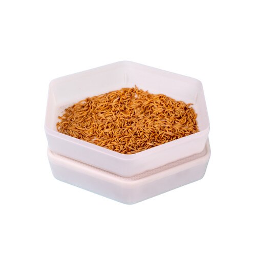 The Bug Factory Mealworm Growing Pods Monkfield Reptile